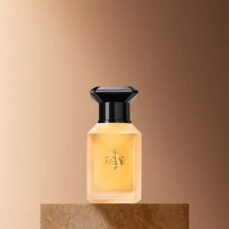 Cuir B&Eacute;Luga – Hair Mist