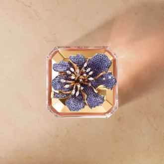 Iris Pallida – Exceptional Plate