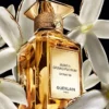 Jasmin Grandiflorum Extrait 30 – Extract