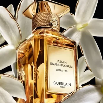 Jasmin Grandiflorum Extrait 30 – Extract