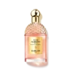 Rosa Palissandro Forte – Eau De Parfum