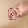 Rose Centifolia – Exceptional Plate