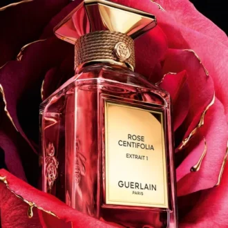 Rose Centifolia Extrait 1 – Extract