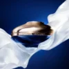 The Longevity Light Cream